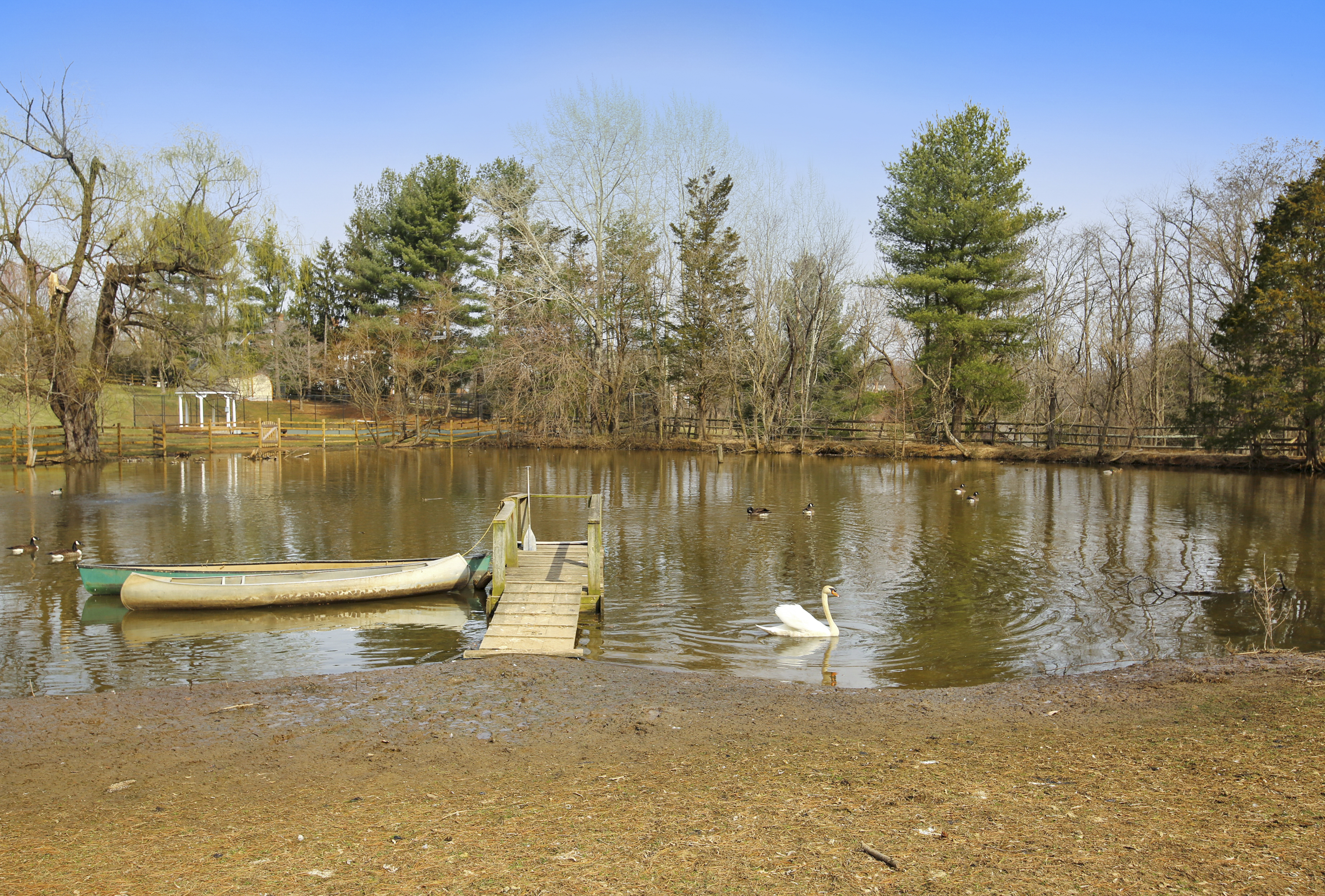 Pastoral Estate on Expansive Acreage in Potomac – AVAILABLE NOW